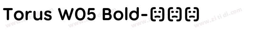 Torus W05 Bold字体转换